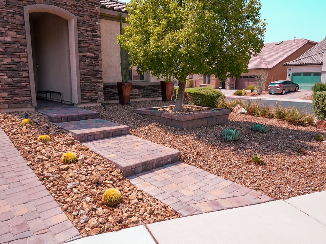 Modern landscape design featuring stone pathway, decorative plants, and a trees in a desert setting.