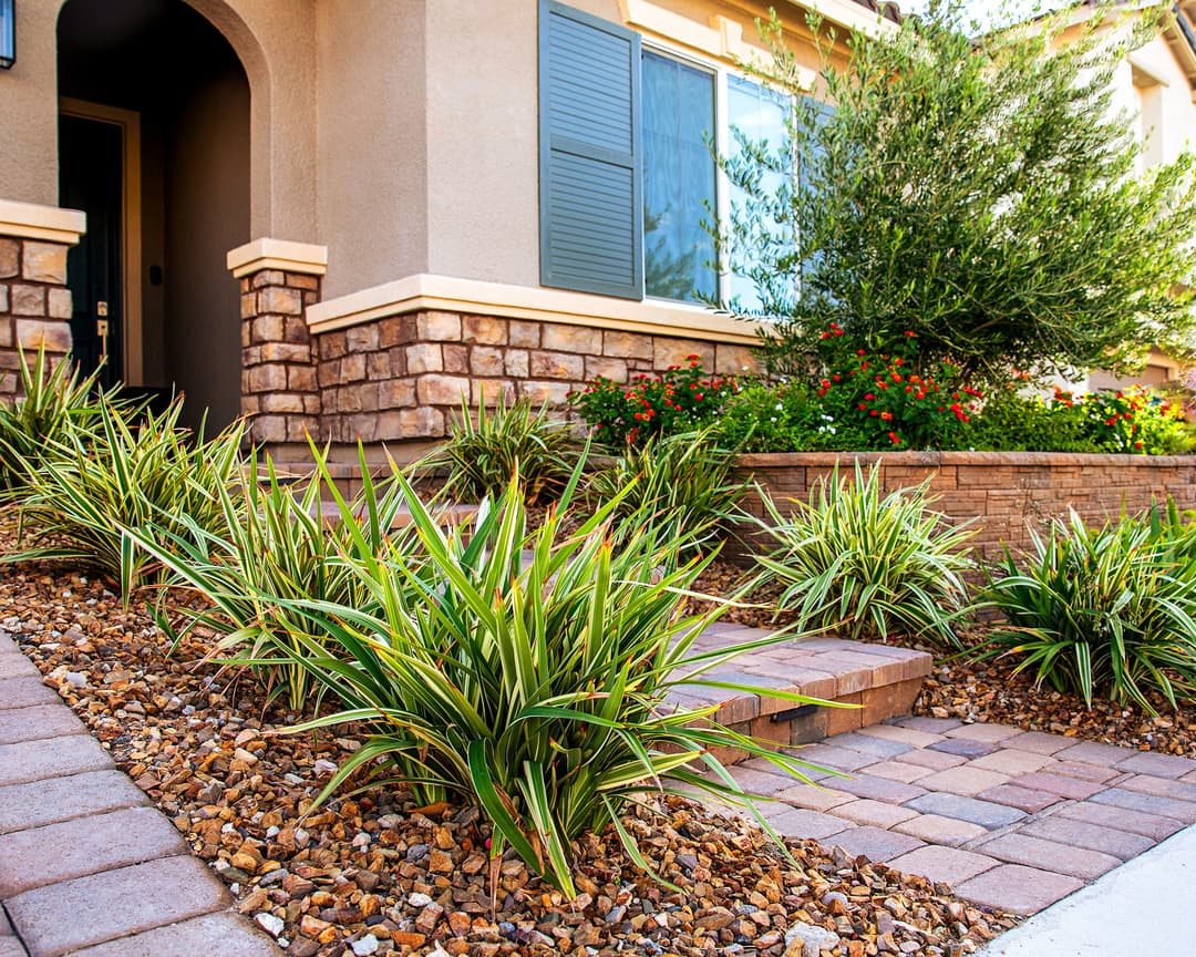 Lush front yard landscaping with vibrant plants and stone pathway leading to a home entrance.