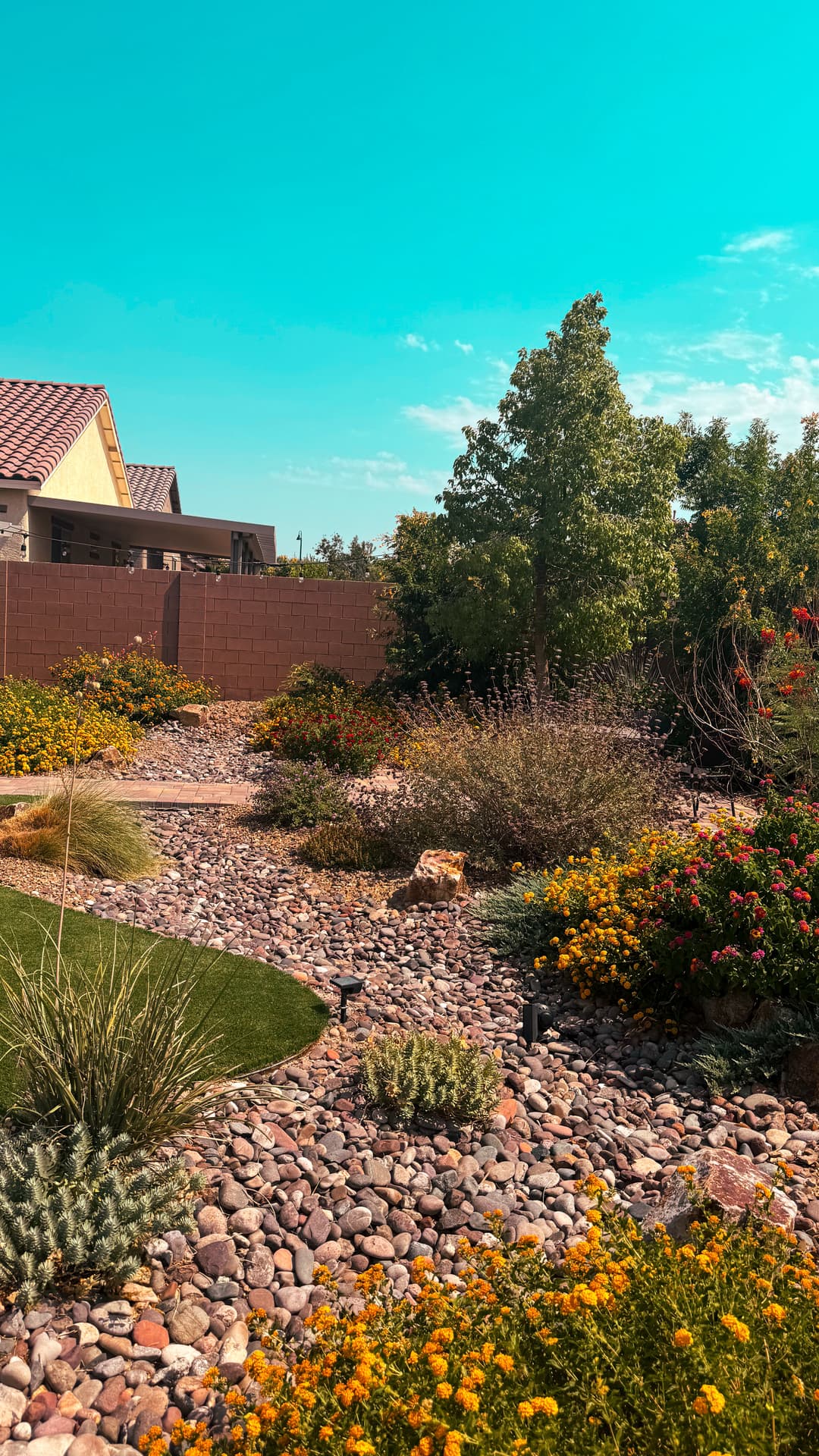 Lush backyard landscape with vibrant flowers, rocky pathway, and clear blue sky.