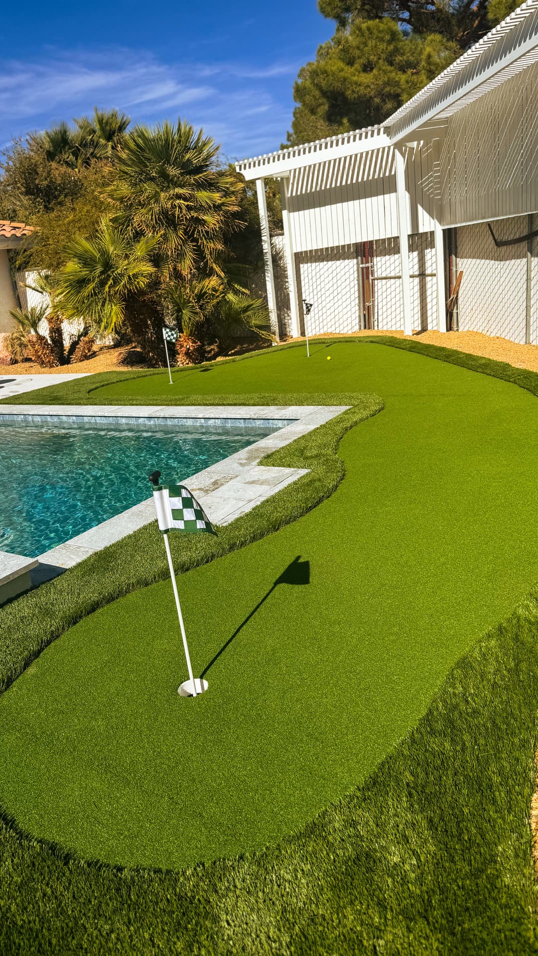 Backyard putting green near a swimming pool with palm trees and clear blue sky.