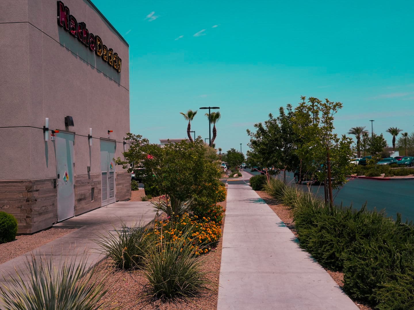 Our Signature Touch in Commercial Maintenance