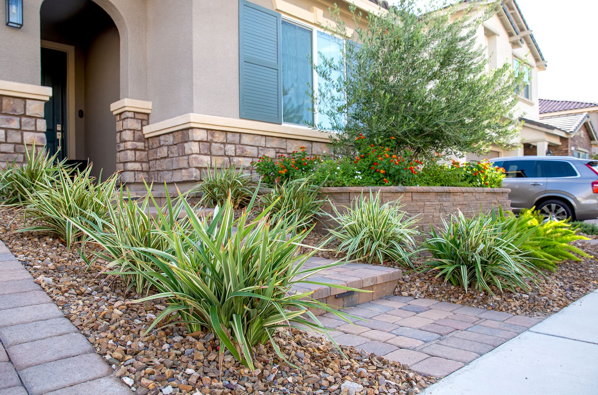 Winter Watering Tips for Las Vegas Landscapes image