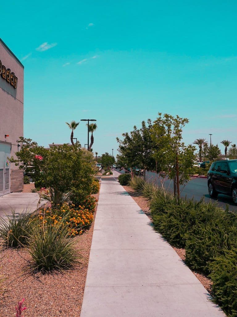 Our Signature Touch in Commercial Maintenance